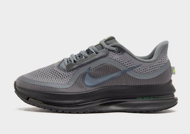 Tenisice i cipele Nike Pegasus Premium Siva | HQ2592-012, 0