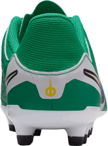 Tenisice i cipele Nike JR LEGEND 10 ACADEMY FG/MG LV8 Zelena | hj7190-300, 4