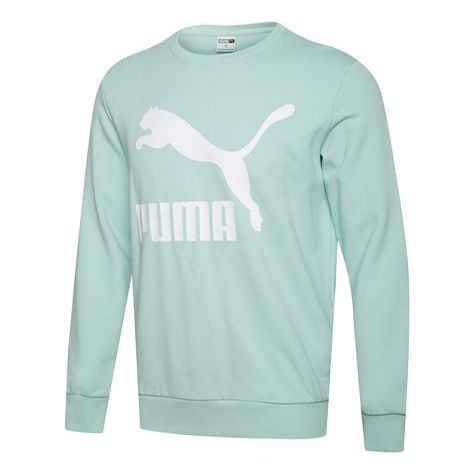 Džemper Puma Puma Classics Crewneck Sweatshirt Zelena | 595892-32