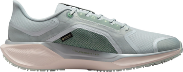 Tenisice i cipele Nike Pegasus 41 GORE-TEX Višebojno | fq1356-007, 3