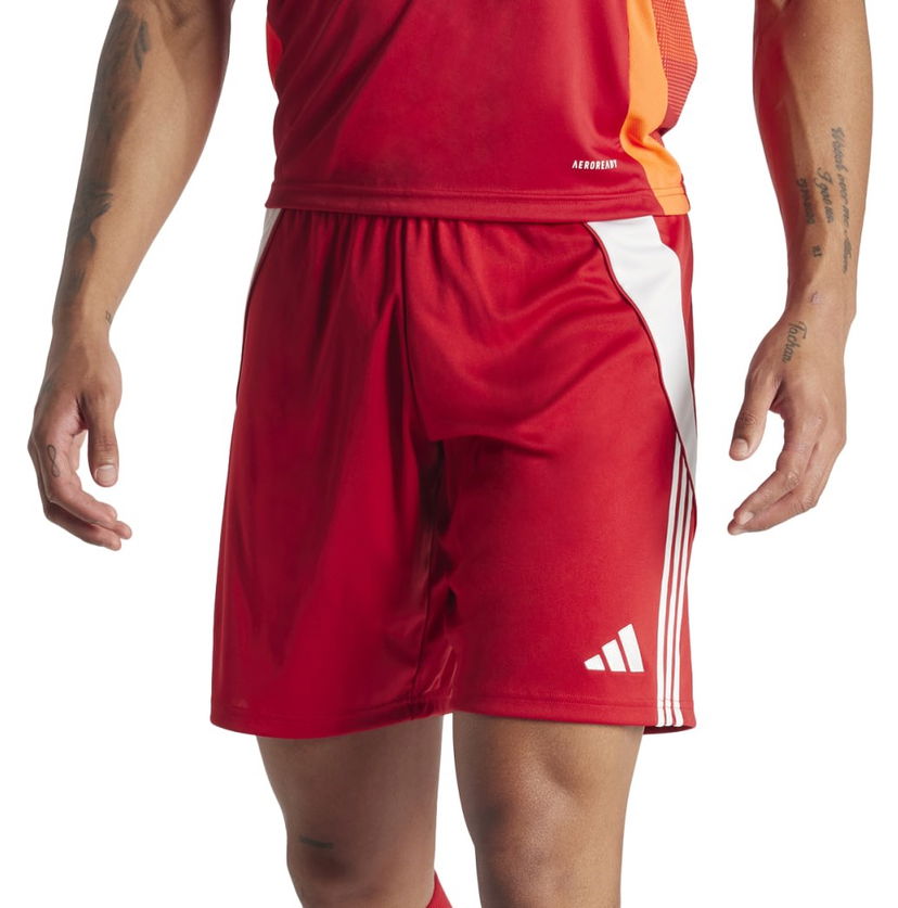 Kratke hlače adidas Performance adidas TIRO24 SHO Crvena | ir9379