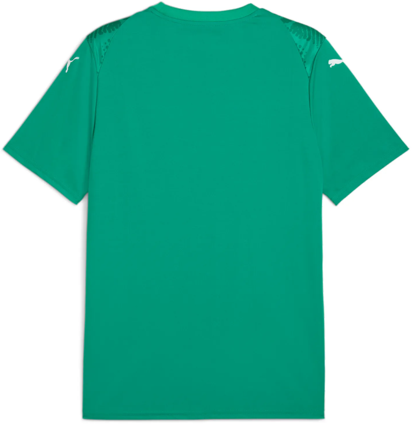 Dres Puma Puma teamULTIMATE Jersey Zelena | 706280-05, 1