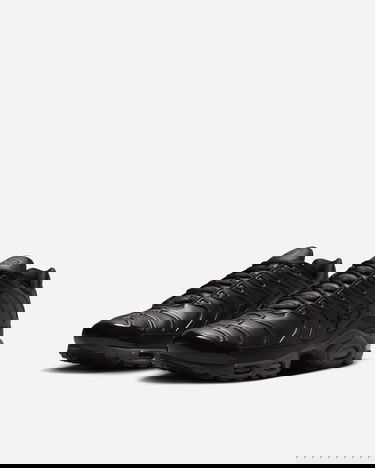Tenisice i cipele Nike Air Max Plus PRM "Black Tea" Crna | HJ4519-200, 2
