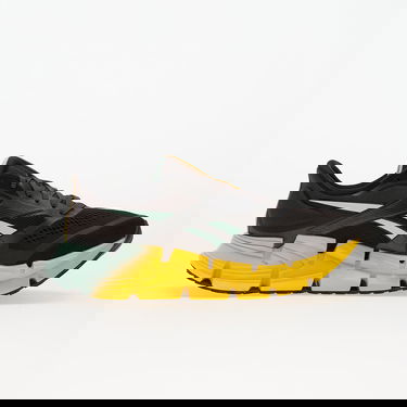 Tenisice i cipele Reebok Floatzig 2 Višebojno | 100225501, 2