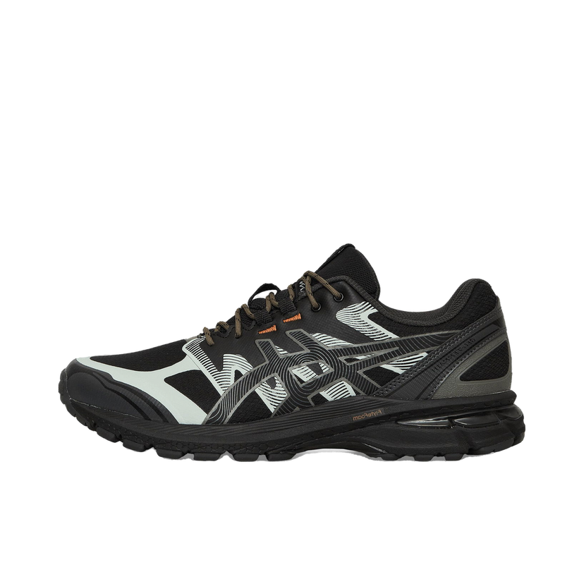 Tenisice i cipele Asics GEL-Terrain Crna | 1203A342-002