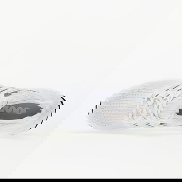 Tenisice i cipele adidas Performance Ultraboost W Bijela | BB6308, 2