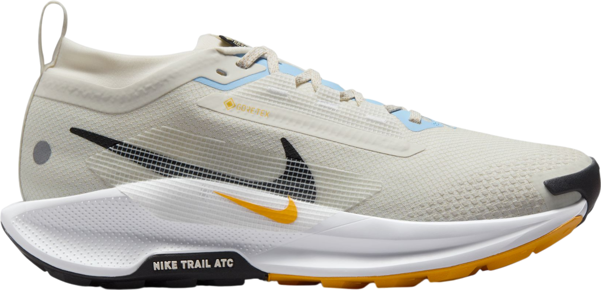 Tenisice i cipele Nike Pegasus Trail 5 GORE-TEX Bež | fq0912-003, 0