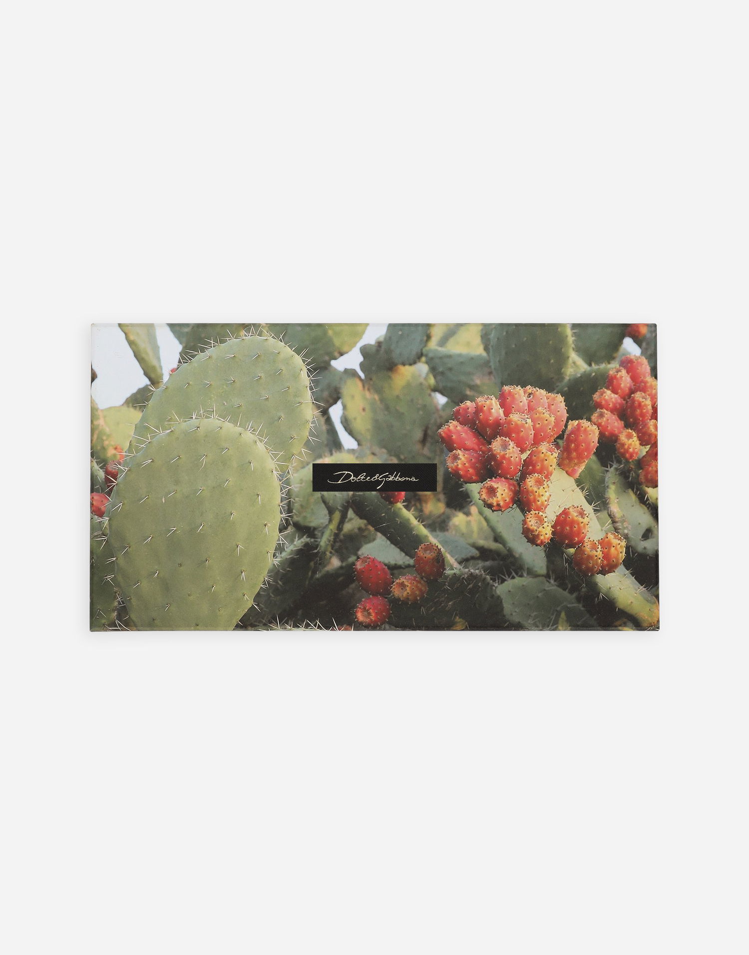 Novčanik Dolce & Gabbana Cactus Print Greeting Cards Set With Envelopes Zelena | TCCS06TCAG1U0008, 0