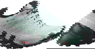 Tenisice i cipele Salomon Speedcross 6 Gore-Tex Tirkiz | l41743500, 0