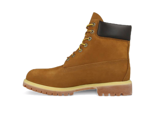 Tenisice i cipele Timberland Classic Premium 6" Smeđa | 72066