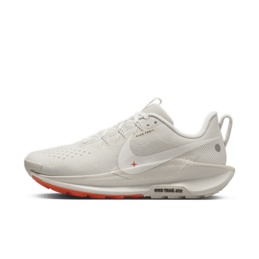 Trčanje Nike Pegasus Trail 5 Siva | DV3865-003