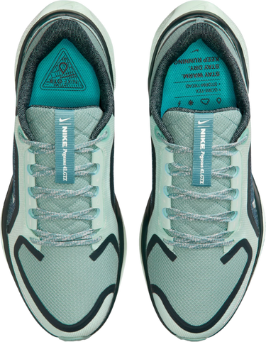 Tenisice i cipele Nike Pegasus 41 GORE-TEX Tirkiz | fq1357-003, 2