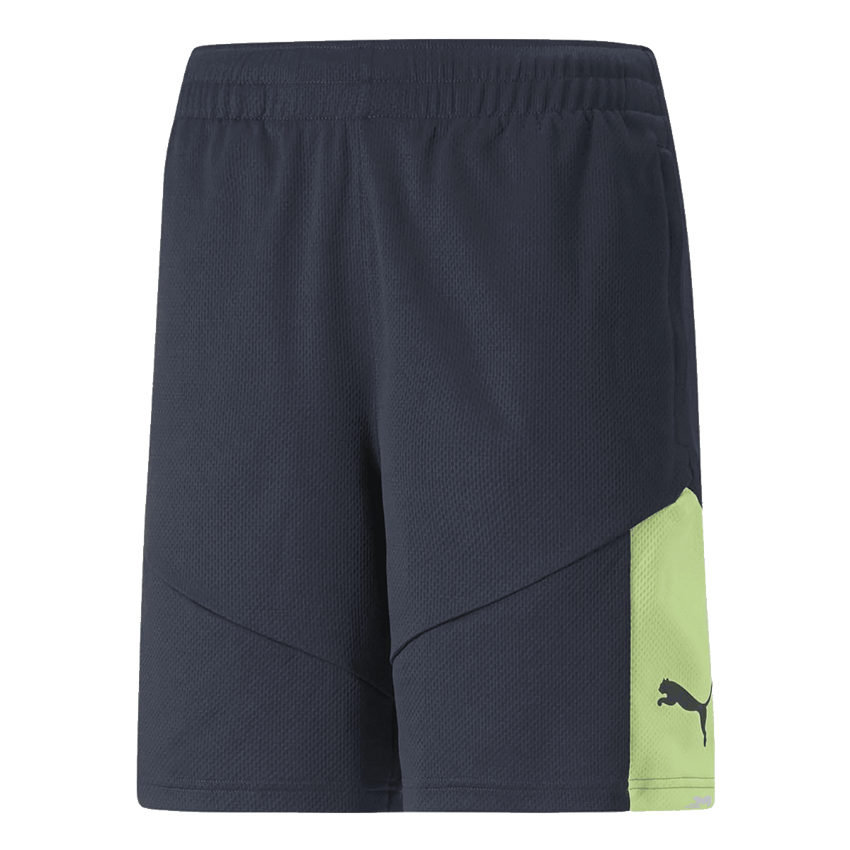 Kratke hlače Puma INDIVIDUALRISE Shorts Višebojno | 657538-47, 0