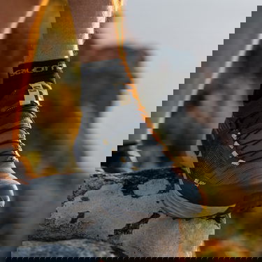 Tenisice i cipele Salomon S/LAB Genesis Siva | l41673200, 1