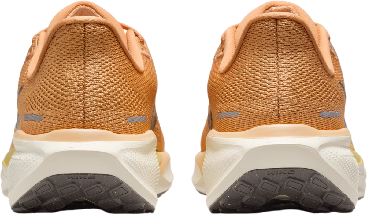 Tenisice i cipele Nike Pegasus 41 Narančasta | fd2723-800, 1