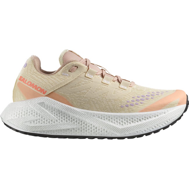 Tenisice i cipele Salomon Aero Glide 3 Gravel Bež | L47812500