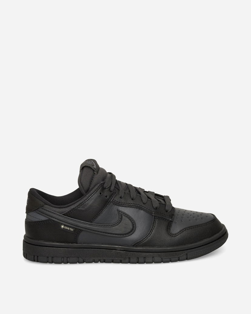 Tenisice i cipele Nike Dunk Low GORE-TEX Crna | HQ2053-001