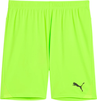 Puma teamGOAL Shorts