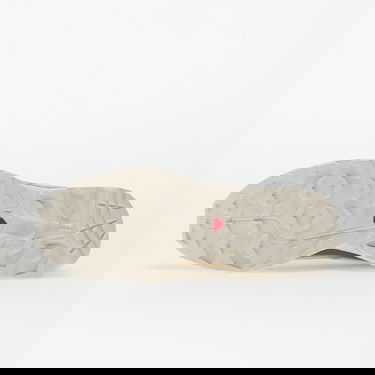 Tenisice i cipele Salomon XT-6 Bež | L47737700, 2