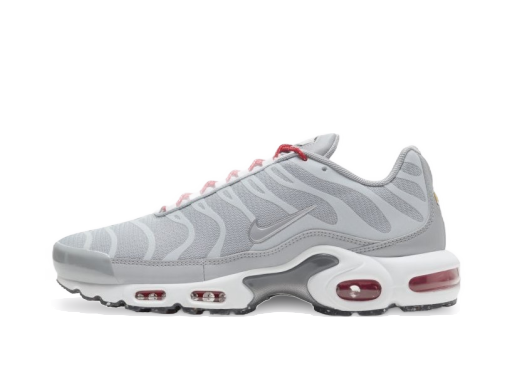 Tenisice i cipele Nike Air Max Plus Siva | DD7112-001