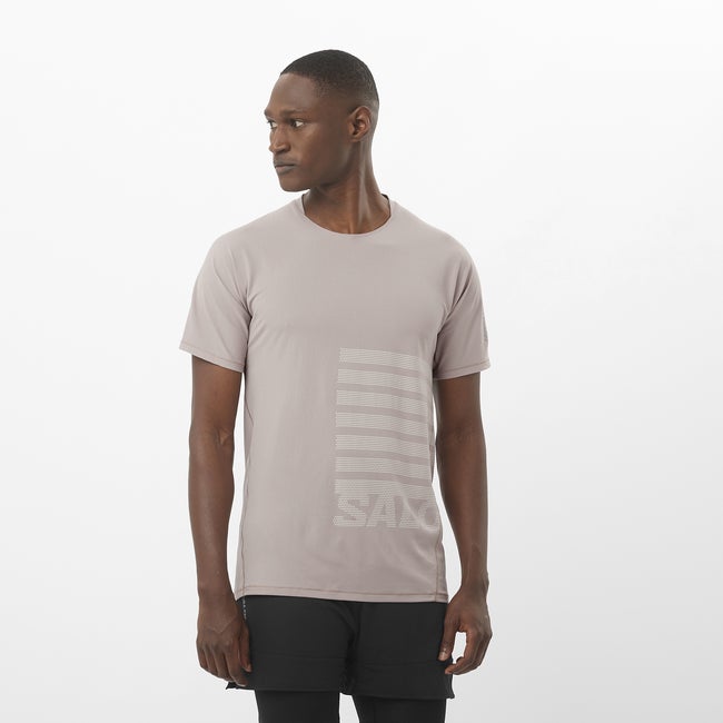 Majica kratkih rukava Salomon Aero Graphic T-Shirt Siva | LC2694500
