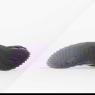 Tenisice i cipele Nike Dunk Low Retro Premium Crna | IM3077-600, 5