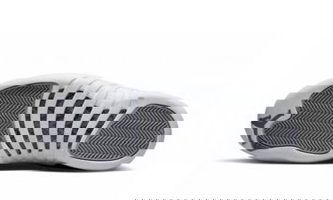 Tenisice i cipele Jordan Air Jordan 12 Retro "Stealth" Siva | CT8013-015, 1