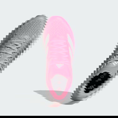 Tenisice i cipele adidas Performance Duramo SL 2 Ružičasta | IH8227, 1