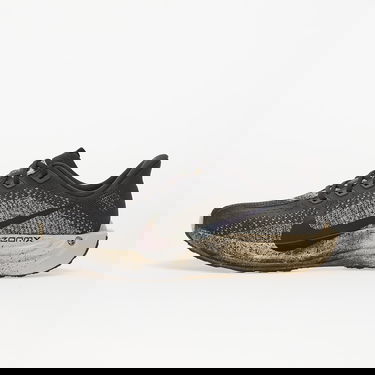 Tenisice i cipele Nike Pegasus Plus Crna | IH4113-140, 0