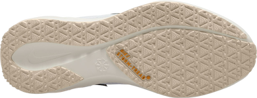 Tenisice i cipele Nike Pegasus 41 GORE-TEX Bež | fq1356-102, 3