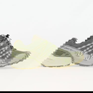 Tenisice i cipele Salomon Speedcross 3 GTX Zelena | L47684600, 2