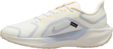 Tenisice i cipele Nike Pegasus 41 GORE-TEX Bež | fq1356-102, 1