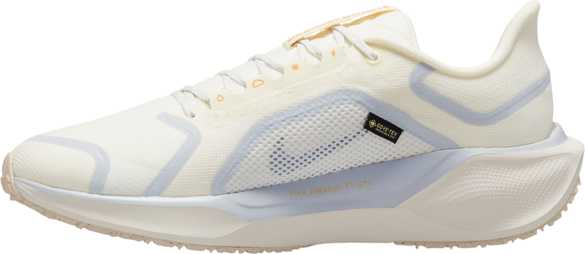 Tenisice i cipele Nike Pegasus 41 GORE-TEX Bež | fq1356-102, 1