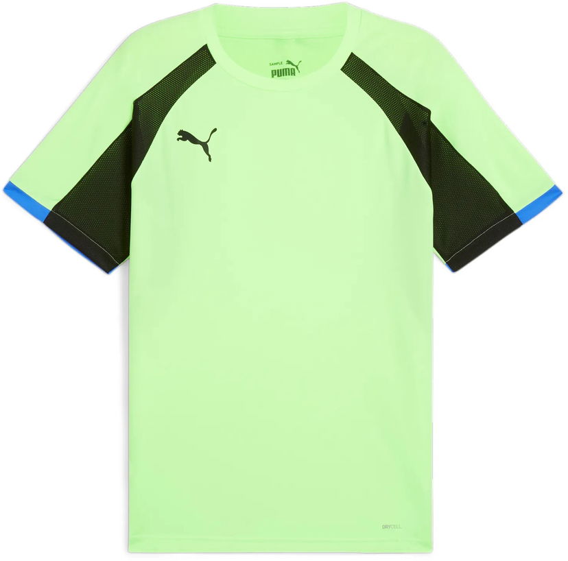 Dres Puma Jersey T-shirt Zelena | 659526-02