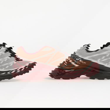 Tenisice i cipele Salomon XT-6 Gore-Tex Bež | L47863700, 2