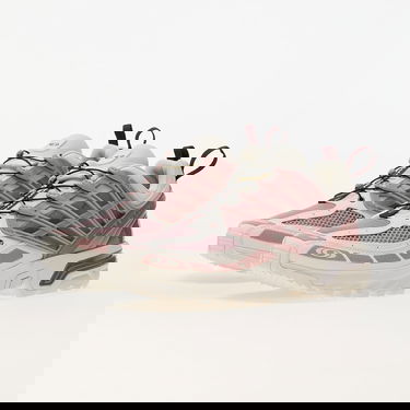 Tenisice i cipele Salomon ACS Pro Vanilla Ice/ Deauville Mauve/ Plum Kitten Ružičasta | L47596800, 5