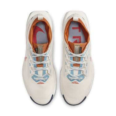 Tenisice i cipele Nike Pegasus Trail 5 GORE-TEX Siva | FQ0908-003, 1
