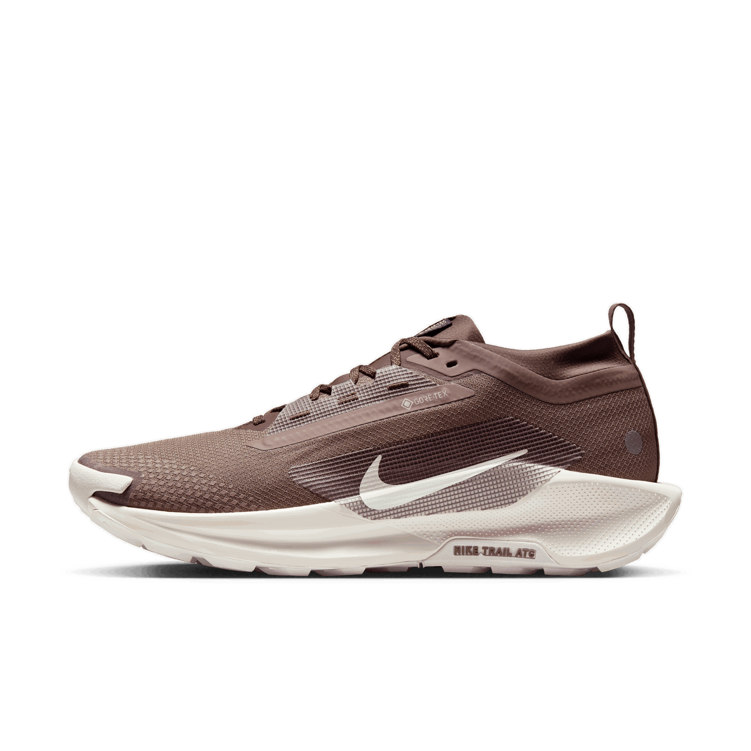 Tenisice i cipele Nike Pegasus Trail 5 GORE-TEX SP Smeđa | HQ7494-200, 0