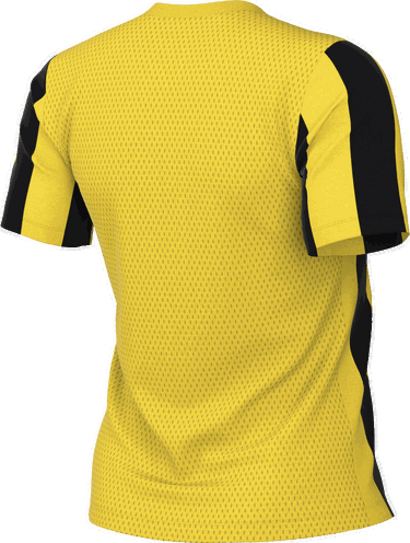 Dres Nike Nike Striped Division V Jersey Žuta | fz9339-719, 1