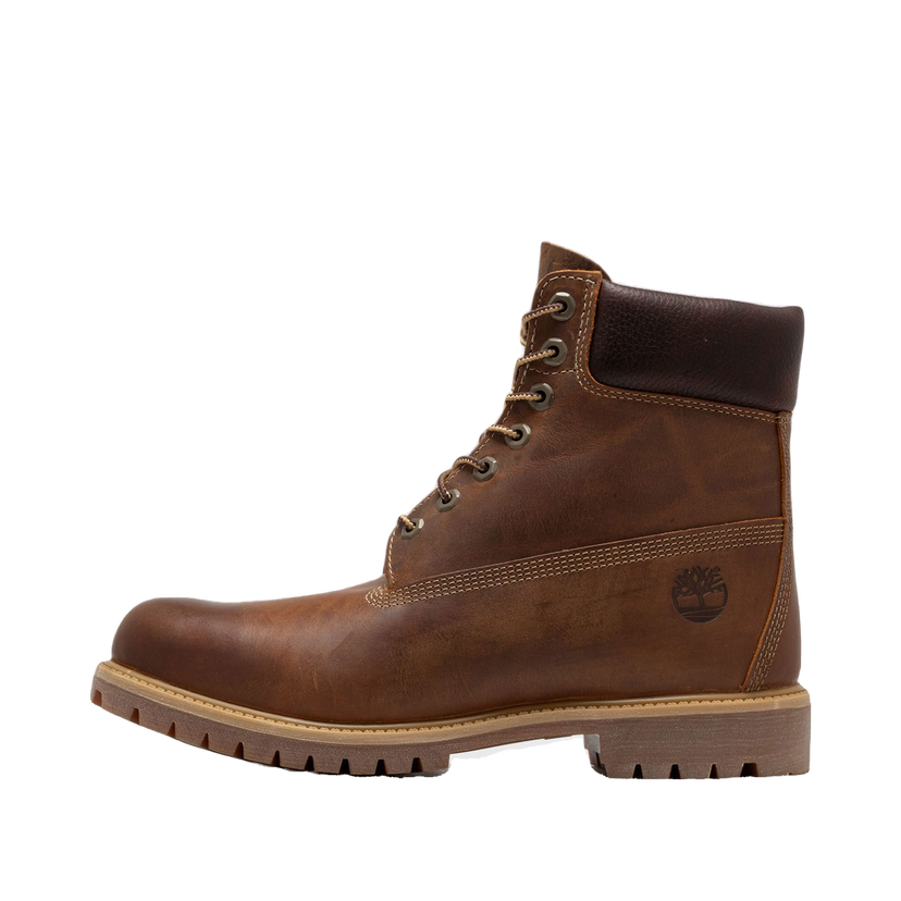 Tenisice i cipele Timberland Premium 6 INCH LACE UP WATERPROOF BOOT Smeđa | TB1270942141