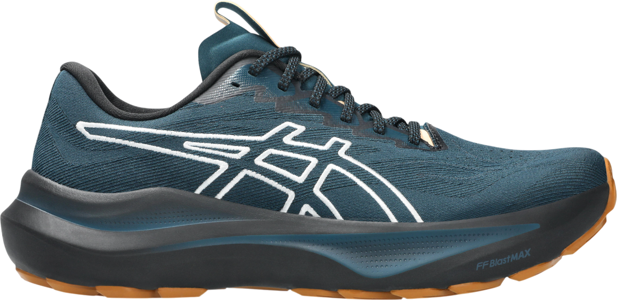 Tenisice i cipele Asics GT-2000 14 TR Plava | 1011c129-300, 0