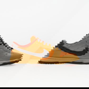 Tenisice i cipele Nike Dunk Low Gtx Smeđa | HQ2053-700, 2