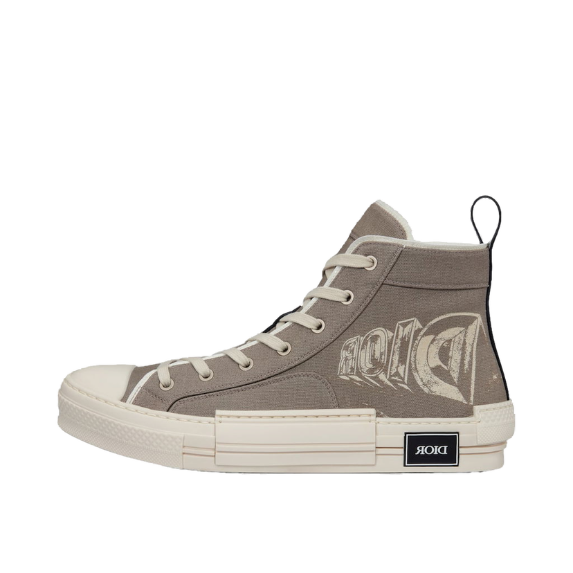 Tenisice i cipele Dior B23 High Top Astero Siva | 3SH126ZYE_H717