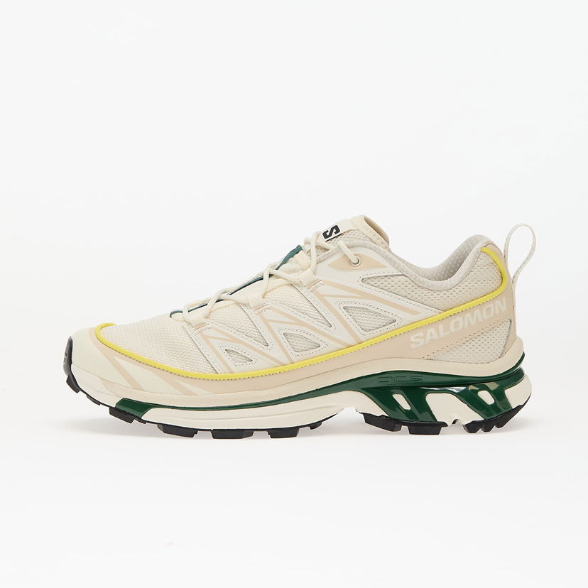 Tenisice i cipele Salomon XT-6 Expanse Bež | L47859200