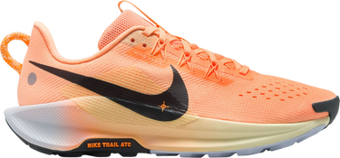Tenisice i cipele Nike Pegasus Trail 5 Narančasta | dv3865-800, 0