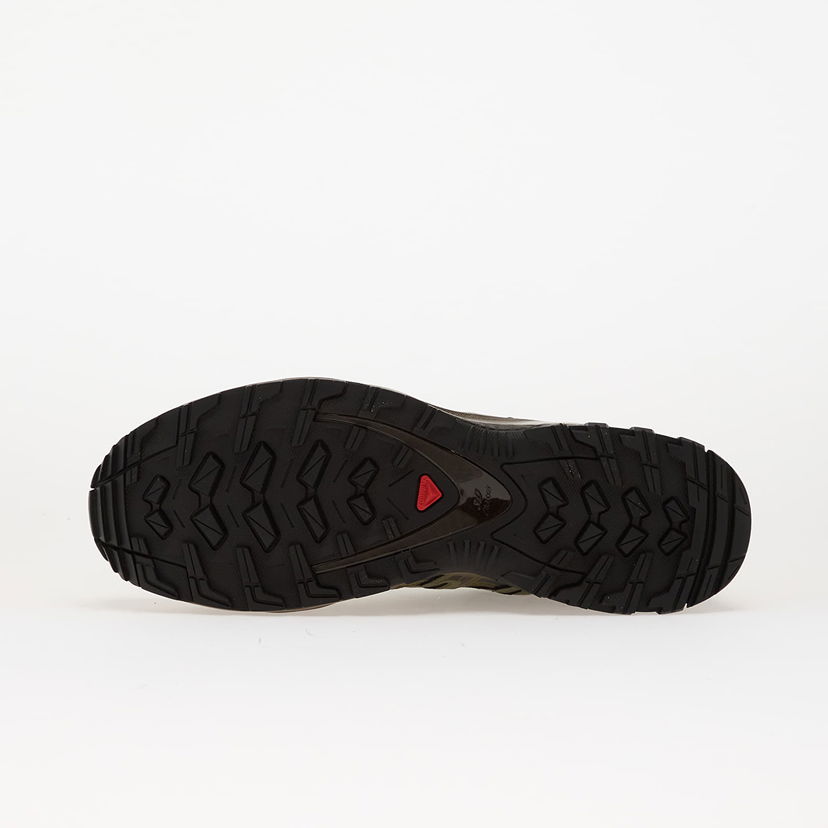 Tenisice i cipele Salomon XA Pro 3D GTX Zelena | L47867900