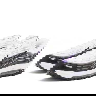 Tenisice i cipele Nike Air Max TL 2.5 Bijela | FZ4110-105, 2