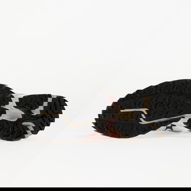 Tenisice i cipele Salomon XT-Whisper Ružičasta | L47761200, 1