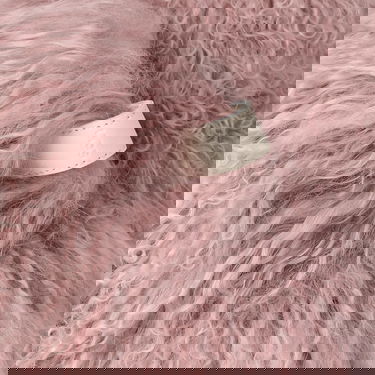 Tenisice i cipele UGG Classic Short Fluff Momma Boot Sheepskin Ružičasta | 1180050-FAWN, 4