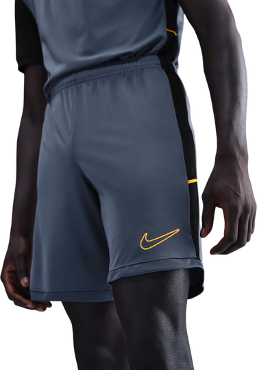 Kratke hlače Nike Dri-FIT Academy 25 Short Siva | hj3796-491, 0